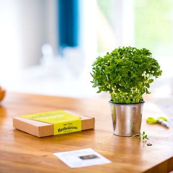 Biodegradable vs Compostable Label Materials